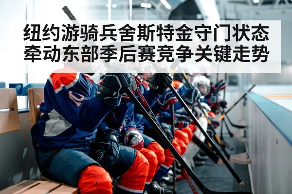 ice hockey team bench